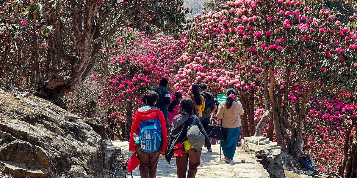 Chopta Chandrashila